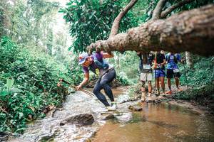 BIB: 
                            <button type="button" onclick="openModal(25375784)" class="btn btn-primary btn-sm float-right btn-popup" data-toggle="modal" data-target=".modal-high-quality">
                        <i class="fas fa-shopping-cart"></i> Add to Cart
                    </button>
                                            <button type="button" onclick="isThisMe(25375784, true)" class="btn btn-success btn-sm float-right btn-popup btn-isme hidden" data-toggle="tooltip" data-placement="bottom" title="นี่คือรูปของคุณใช่ไหม คลิกที่นี่เพื่อเอาเข้าอัลบั้ม">
                        <i class="fas fa-plus"></i> Add to album
                    </button>
                    <button type="button" onclick="isThisMe(25375784, false)" class="btn btn-warning btn-sm float-right btn-popup btn-isnotme hidden">
                        <i class="fas fa-ban"></i> Remove from album
                    </button>